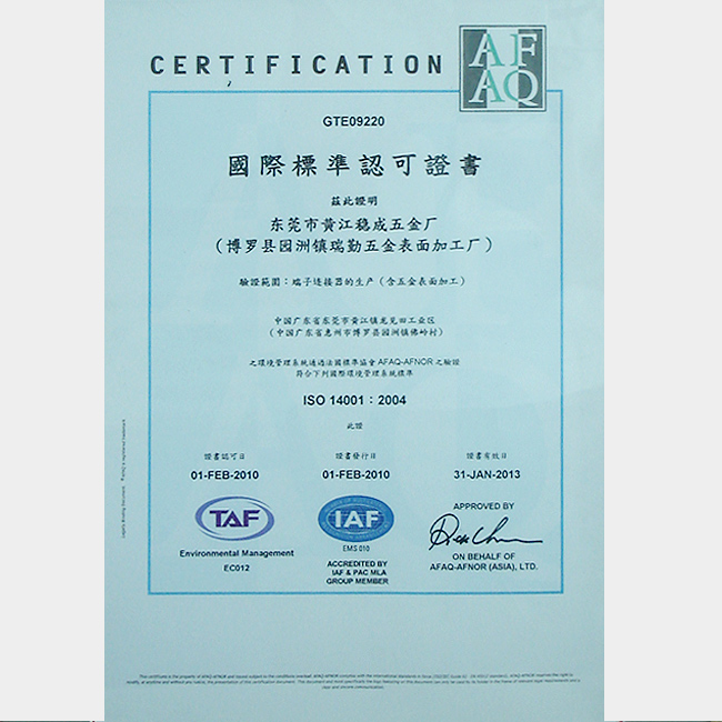 ISO14001-2004-GTE09220中文