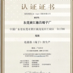 美国质量认证AQA-cn012982-中文