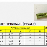 1-110型带锁母端子