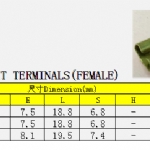 4-250型带挂勾母端子